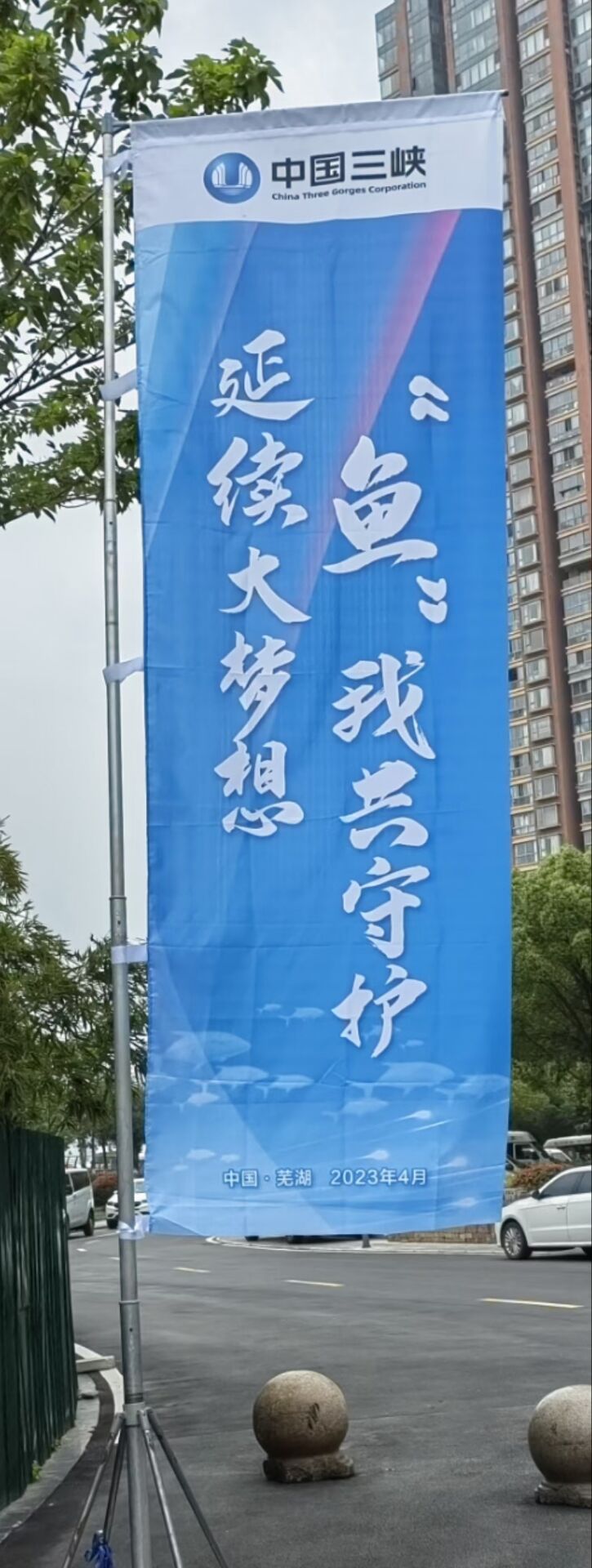 23E2BD0939F7C505210D79E2552F78CE.jpg